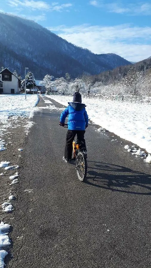 Holiday home Petit Chalet Belosevic Kuzelj